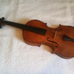 Violin