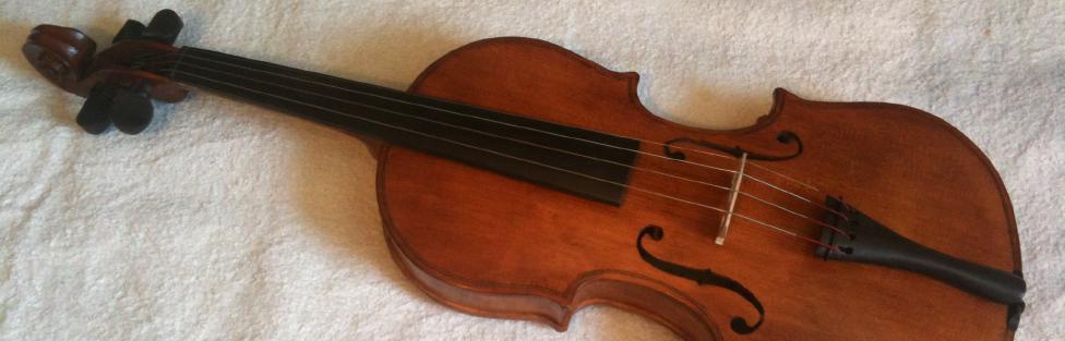 Violin